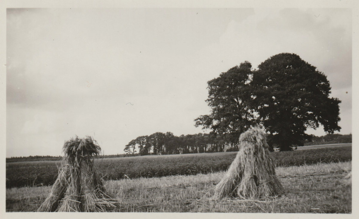 Two Haystacks